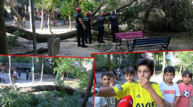 Bakırköy'de çocuk parkında korku dolu anlar! Ağaç devrildi