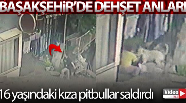 Başakşehir'de 16 yaşındaki kıza pitbullar saldırdı