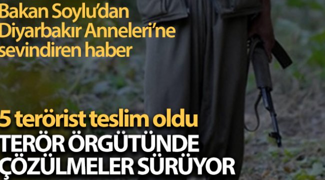 PKK'da çözülme devam ediyor: 5 örgüt mensubu teslim oldu