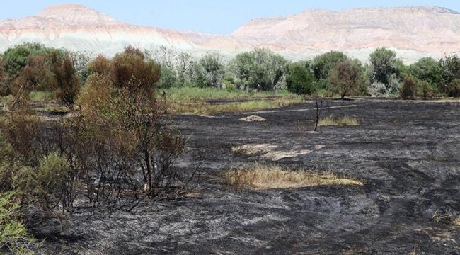 Ankara'da Nallıhan Kuş Cenneti'ndeki yangının nedeni belli oldu
