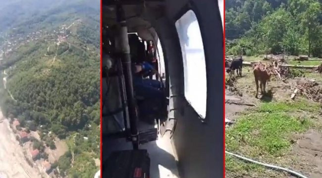Hayvanlar helikopter yardımıyla kurtarıldı