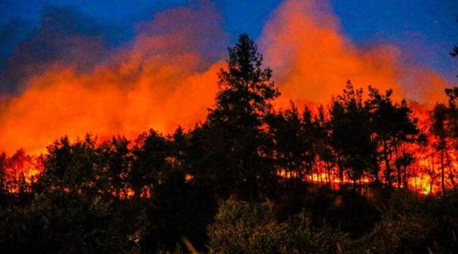 Orman yangınlarında son durum! Köyceğiz yangını kontrol altında