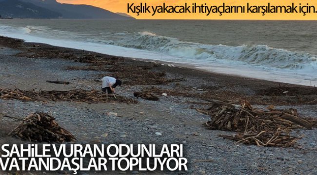 Selin etkili olduğu Kastamonu'da sahile vuran odunları vatandaşlar topluyor