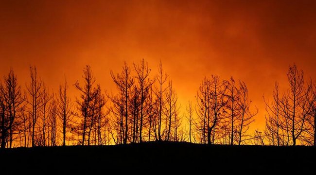 Türkiye'deki orman yangınlarına 6 ülkeden hava desteği geldi