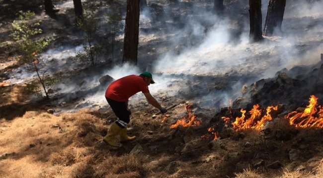 Türkiye'deki orman yangınlarında yeni riskleri ortaya çıkardı