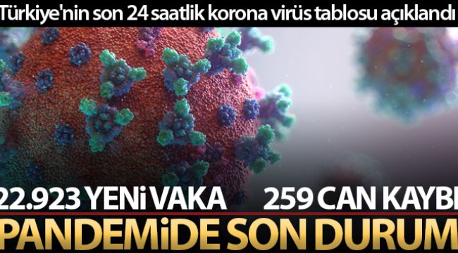 Son 24 saatte korona virüsten 259 kişi hayatını kaybetti