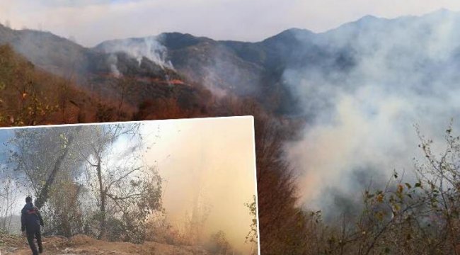 Son dakika... Trabzon'da 4 noktada orman yangını