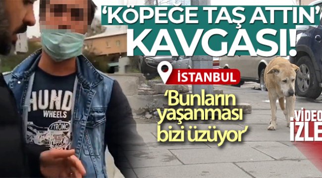 Ataşehir'de köpek kavgası: 'Hayvana taş attım, sana değil'