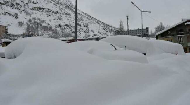 Beytüşşebap'ta evler ve araçlar kar altında kayboldu