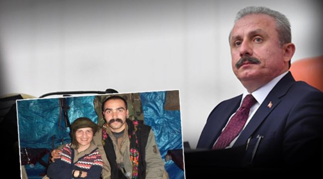 Son dakika: HDP'li vekilin teröristle fotoğrafı… TBMM Başkanı Şentop: İç tüzüğün gereği yapılmalı