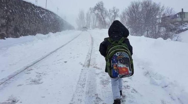 Son dakika... Rize, Artvin, Hakkari, Bolu ve Kastamonu'da okullara kar tatili