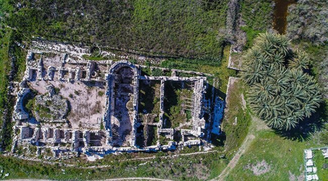 Yunan efsanelerinde tarif edilen yerin Patara'daki Leto Hurmalığı olduğu iddiası! DNA örnekleri inceleniyor, bilim insanları bu cevabı arıyor