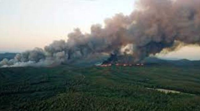 Marmaris'te çıkan orman yangınında son durum ne? Marmaris Amazon Koyu'ndaki orman yangını söndürüldü mü, kontrol altına alındı mı?