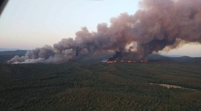 Son dakika! Bakan Kirişci Marmaris'teki orman yangınında son gelişmeyi duyurdu: "İlerleyen günlerde de devam edecek"