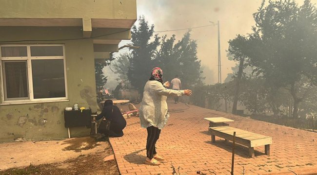 Beykoz'daki orman yangınıyla ilgili harekete geçildi: Gözaltına alındı