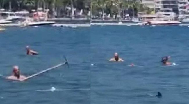 Halk plajında görünce köpek balığı diye paspas sopasıyla kovalamışlardı! Sosyal medyayı sallayan görüntüler için belediyeden açıklama geldi... Gerçek ortaya çıktı