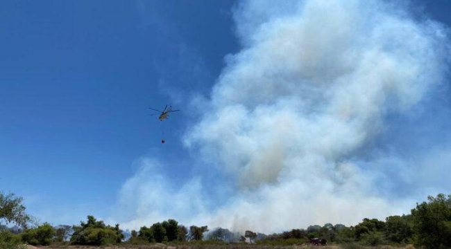 SON DAKİKA | Antalya'da orman yangını! Havadan ve karadan müdahale ediliyor