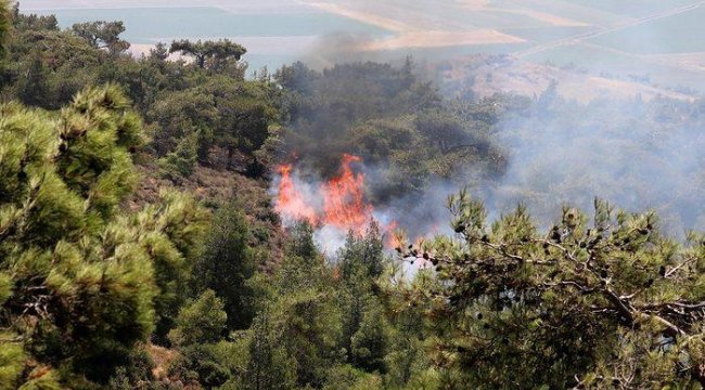 Son dakika: Suçüstü yakalandı! PKK'dan 'orman yangını' talimatı