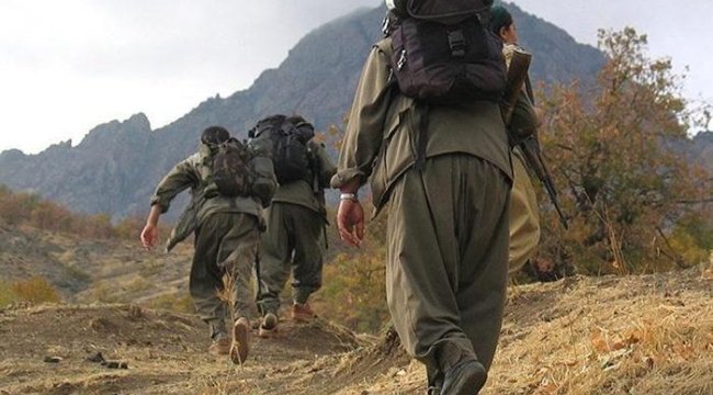 Terör örgütü PKK'da çözülme devam ediyor! 3 terörist teslim oldu...
