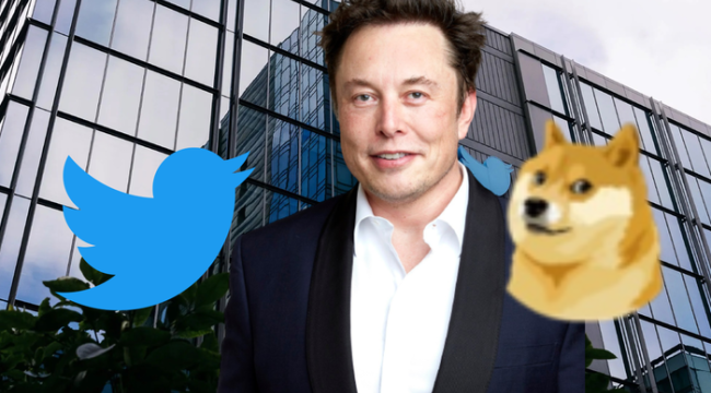 Twitter logosu değişti mi? Twitter logosu neden Dogecoin oldu, köpeğin anlamı ne? Elon Musk'tan flaş hamle: Kuş gitti köpek geldi