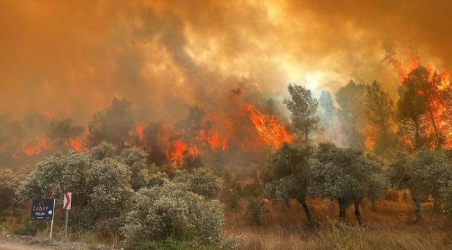 SON DAKİKA | Muğla Milas'ta dumanlar gökyüzünü kapladı! 