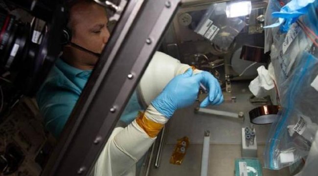 Türkiye'nin ilk astronotu Alper Gezeravcı uzayda deneylerini sürdürdü
